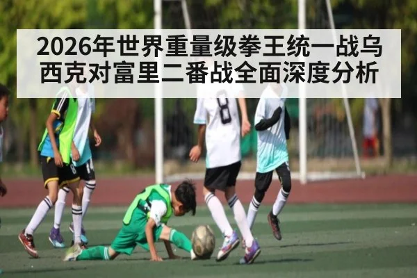 2026年世界重量级拳王统一战乌西克对富里二番战全面深度分析